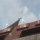 케틀벨 아시아 서구 내동 중앙센터 이미지