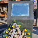 산양일주로 이미지