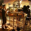 도그와트(Dogwarts) 이미지