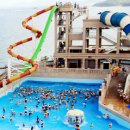 더에스핏 이미지