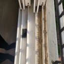 부성약품 이미지