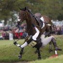 위드안전 이미지