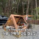 두꺼비로70번길(1-14) | 가평 선택적 고립ㅣ C-9 사이트 솔직후기 | 명당자리 추천 뷰·분위기·시설 총정리