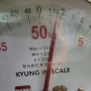 오늘도 go