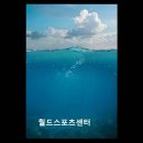 월드스포츠센터 | 용인 수영장 추천 월드스포츠센터 시설과 수업 모두 만족