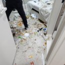 하나모텔 세계일보