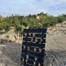 삼양농장 | [제주도 감귤 체험 농장] 텐저린 267 감귤체험농장 / 주차, 체험 요금, 타이벡귤 택배 가격