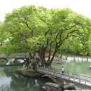 함안제일정비 이미지