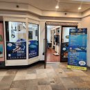 YOLO BEACH | [미국/하와이] 니가 가라 하와이(9) - 하와이 최고의 스노클링 명소! 하나우마 베이에서의 물놀이...