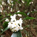 제주 올레길 14-1코스 이미지