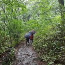 구례향기 이미지