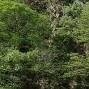 중부-현장-중부-288 이미지