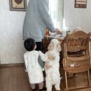 영남슈퍼 | 주가 진짜 피크! &lt; 운해 가득한 이번 주 푸른 빛 영남 알프스 간월재 &lt; 가을 명소 억새 군락지 &lt; 라면...