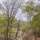 삼각지역 불암산 산머루산다래암장2026/04/11 이미지