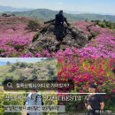 (주)소백산한우 | 5월 추천 등산 전라도 철쭉 산행지는 어디가 좋을까?