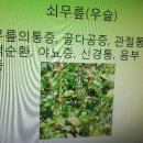 산이주는선물 이미지