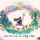 치커리(chicory) 이미지