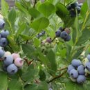 무주시크릿 이미지