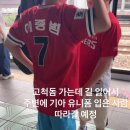 뽑고가요 | 사랑니 뽑고 야구 직관 갔다 옴