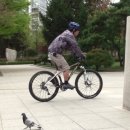 바니호프 이미지