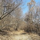 도하1리마을회관 | DMZ 평화의 길 8-1, 9코스 파주 임진강역-장산전망대-화석정-율곡습지공원-두포교차로-파평면행정복지...