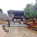 도피안사 - 1360 | 도피안사