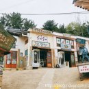 달동네 - 춘천시 | 달동네