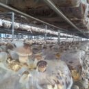 활공농장 이미지