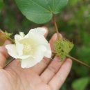 영명농장 이미지