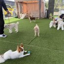 놀라운드 이미지