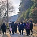 퇴계중학교 | 퇴계 마지막 귀향길 체험 연수 걷기 좋은길 용수사 안동 고택 노송정