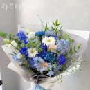 라프티
