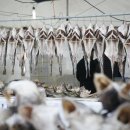 외포초교 뒤 이미지