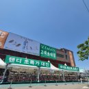 탠디블랙라벨 | [공지] 탠디 초특가 대전 - 탠디 판교 아울렛 세일 (05.08~05.17)