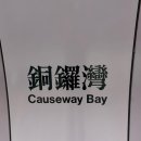 [홍콩 여행기] 2일차 숙소 _ 공항 노숙포기, 1박에 3만원대 가성비 캡슐호텔에서 편안한 휴식 후기