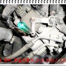 경일비트 이미지