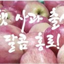 풍경속선물 이미지