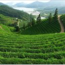 봇재다원화장실 이미지