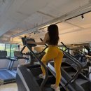 에이스유럽주 | 시아린 내돈내산 섭취 후기 (제대로 복용하는 방법 알려드림)