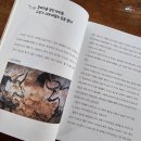 신화와 함께하는 세계사 이미지