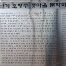 오영수갯마을문학비 이미지