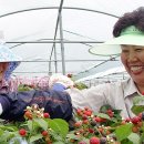 보해축산 이미지