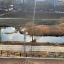 작은창큰풍경협동조합 이미지