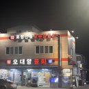 오대양 | 포항 고추장 물회 맛집 | 오대양물회 방문 후기