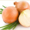 마카 트레이닝 이미지