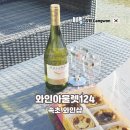 속초 와인 미리크리스마스 여행 와인아울렛124 와인샵 후기