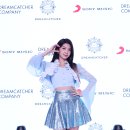 다미 이미지