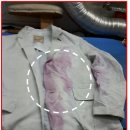 현대세탁 이미지