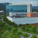 허브사랑 이미지