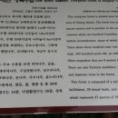 조은나무농장